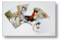 Preview: Momente